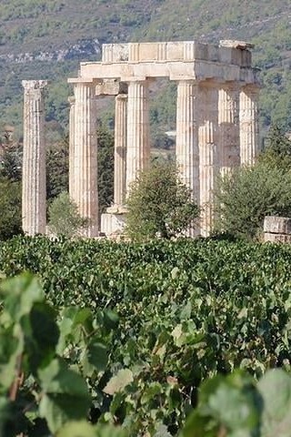 κρασί Αττική